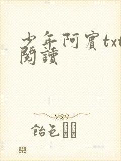 少年阿宾txt阅读