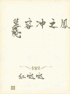 慕容冲之凤凰于飞