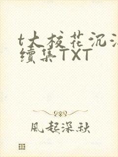 t大校花沉浮录续集TXT