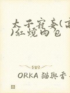 太子宠妾(高肉)红烧肉包