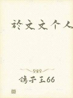 于文文个人简历