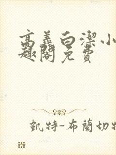 高义白洁小说笔趣阁免费