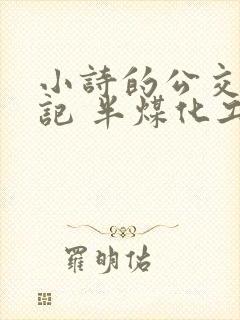 小诗的公交车日记 半煤化工
