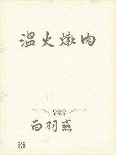 温火炖肉