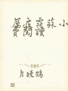 厉夜霆苏小汐免费阅读