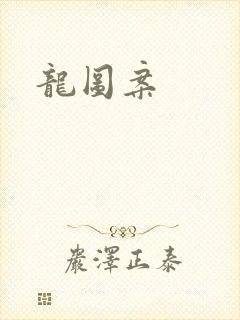 龙图案