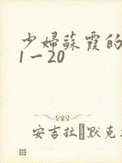 少妇苏霞的沉沦1一20