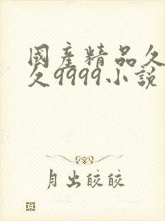 国产精品久久久久9999小说