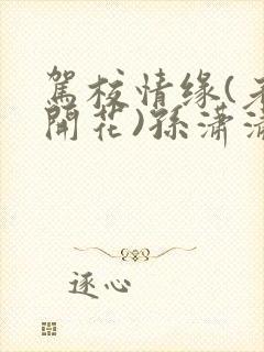 驾校情缘(老树开花)孙潇潇第一次趣笔阁