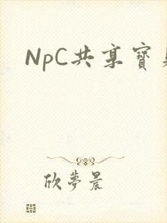 NpC共享宝贝