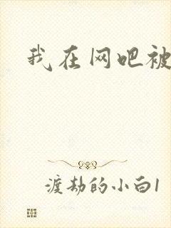 我在网吧被黑人