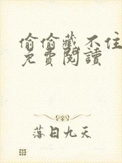 偷偷藏不住小说免费阅读