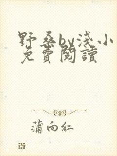 野桑by浅小说免费阅读