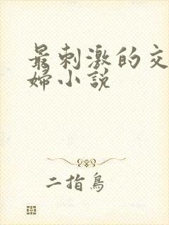 最刺激的交换夫妇小说