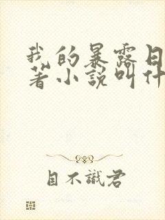 我的暴露日记原著小说叫什么