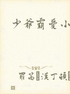 少爷霸爱小丫头