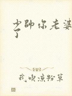 少帅你老婆又跑了