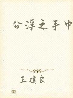 公浮之手中字5