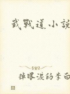 武战道小说
