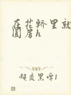 在花轿里就开始圆房h