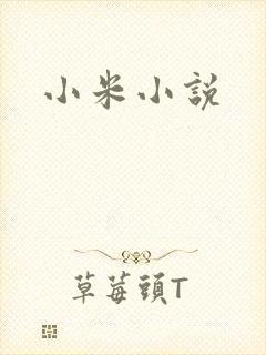 小米小说