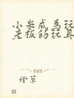 小米成为玩具店老板的玩具