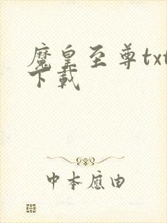 魔皇至尊txt下载