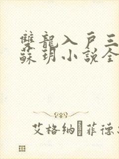 双龙入户三人行苏玥小说全文阅读