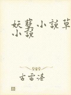 妖孽小说草莓酱小说