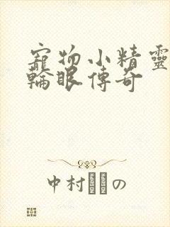 宠物小精灵之写轮眼传奇