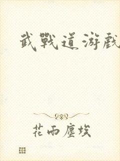 武战道游戏