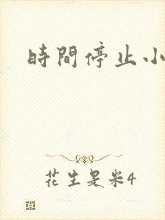 时间停止小说