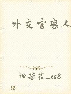 外交官恋人小说