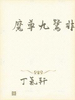 魔尊九鹭非香