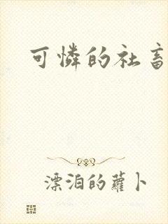 可怜的社畜小说