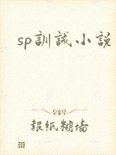 sp训诫小说
