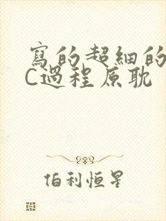 写的超细的多肉C过程原耽