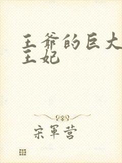 王爷的巨大进入王妃