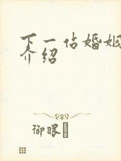 下一站婚姻剧情介绍