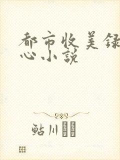 都市收美录宁素心小说