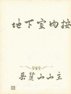 地下室肉按摩椅