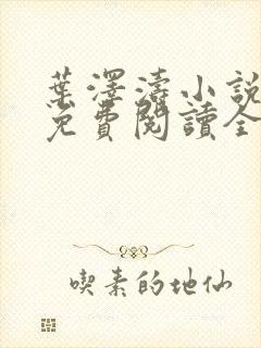 叶泽涛小说全文免费阅读全文