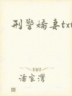 刑警娇妻txt