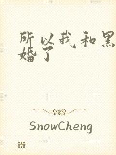 所以我和黑粉结婚了