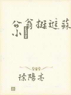 公翁挺进苏玥的小泬