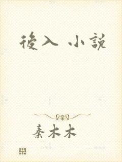 后入 小说