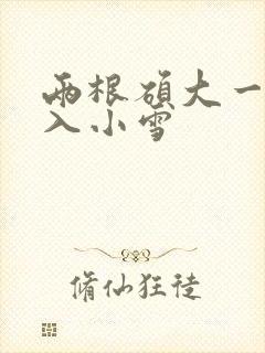 两根硕大一起挤入小雪