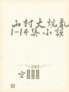 山村大炕乱肉续1-14集小说