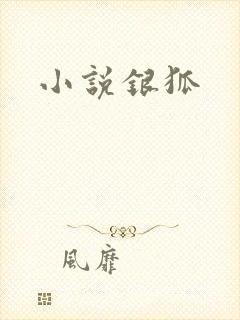 小说银狐