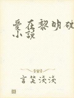爱在黎明破晓前小说